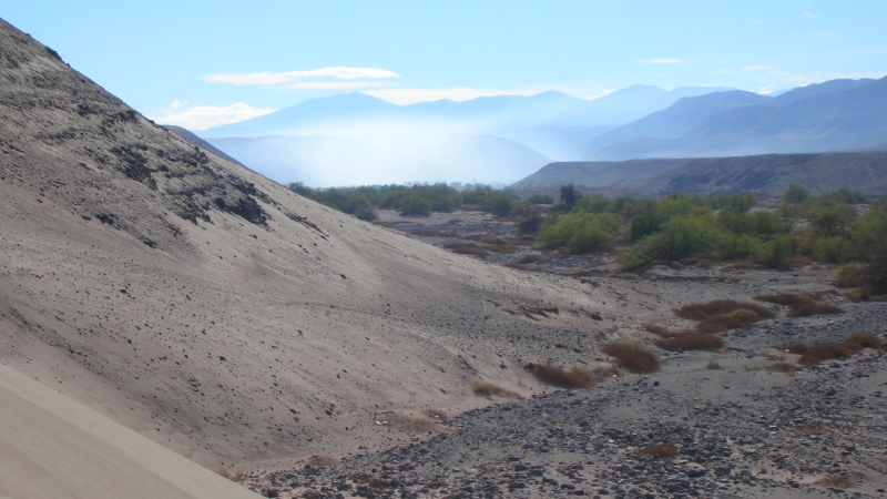 Illustration for article titled How Much Is The Dakar Rally Really Doing Right By The Environment?